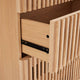 Sinfonier Lugano — detalle 7