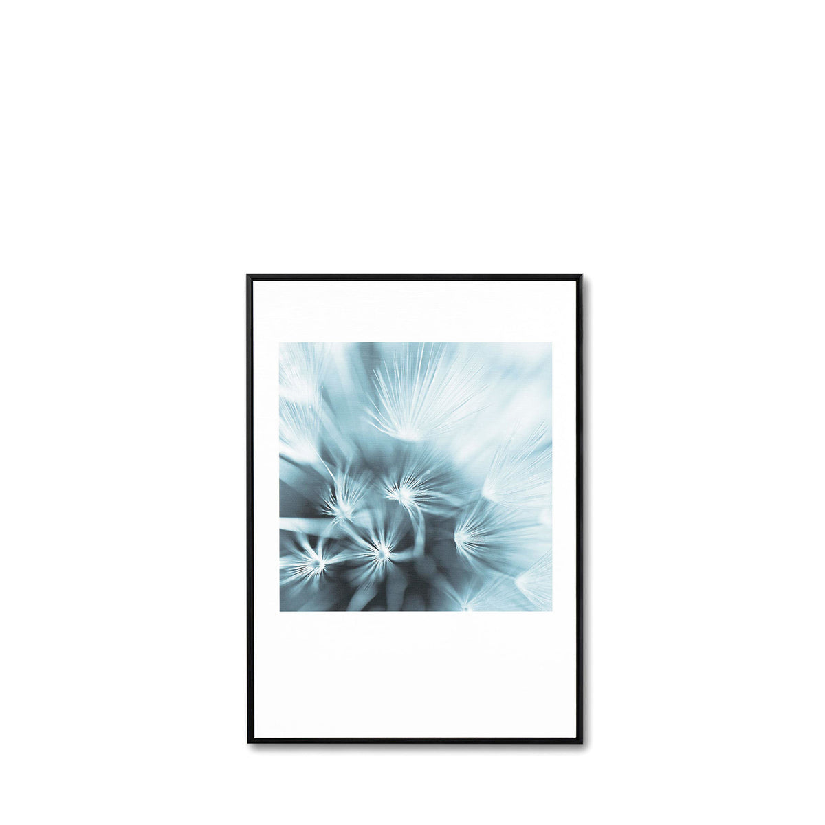 Cuadro Dandelion 50x70 2