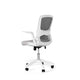 Silla oficina Manchester en ambiente