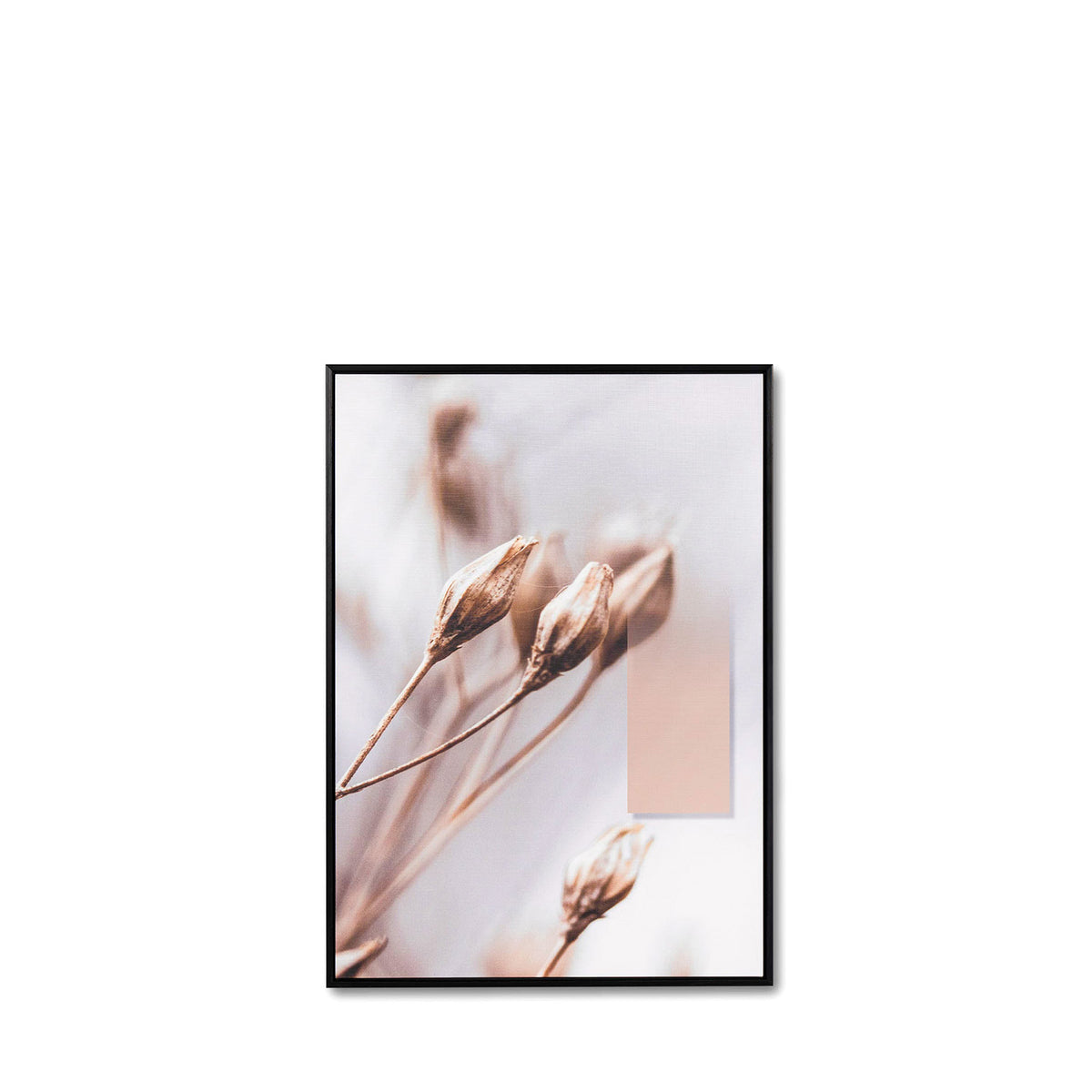 Cuadro Darling 50x70 2